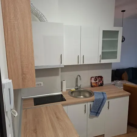 Jelena As Apartman Vrnjacka Banja