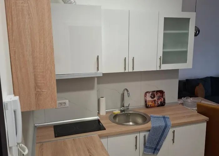 Jelena As Apartman Vrnjacka Banja